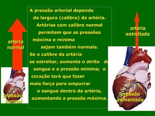 A pressão arterial depende  da largura (calibre) da artéria.  Artérias com calibre normal permitem que as pressões máxima e mínima  sejam também normais. Se o calibre da artéria  se estreitar, aumenta o atrito  do sangue e a pressão mínima;  o coração terá que fazer  mais força para empurrar  o sangue dentro da artéria, aumentando a pressão máxima. pressão  normal artéria normal pressão aumentada artéria estreitada 