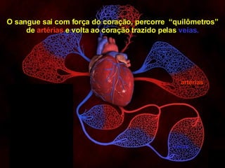 artérias veias 14 O sangue sai com força do coração, percorre  “quilômetros” de  artérias  e volta ao coração trazido pelas  veias. 