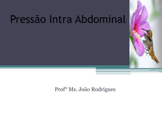 Pressão Intra Abdominal (PIA) 
Prof° Ms. João Rodrigues 
 