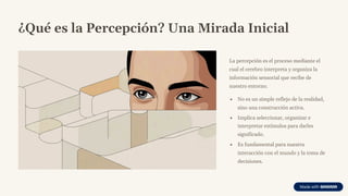 Presentación De La Percepción en la psicologia | PDF