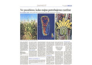 Fascination of Plants Day Success Story 2012 Slovenia
