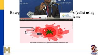 Energy recovery from defective tomatoes (culls) using
Microbial Electrochemical Systems
http://money.cnn.com/2016/03/16/technology/tomato-power/index.html
 