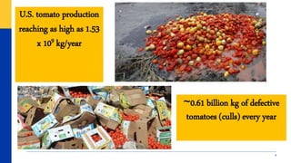 4
~0.61 billion kg of defective
tomatoes (culls) every year
U.S. tomato production
reaching as high as 1.53
x 109 kg/year
 