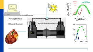 5
12
8
7
Reference Electrode
Working Electrode
Counter Electrode
11
0 10 20 30
2
4
6
8
10
Zreal (k.cm2
)
-Zimg(k.cm2
)
Tomato
Peel and Seed
Tomato
Flesh
0 800 1600
0
100
200
300Microbial-Electrochemical Dvice
 