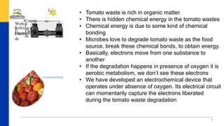 7
1
2
8
7
Reference
Electrode
Workin
g
Electro
de
Counte
r
Electro
de
1
1
• Tomato waste is rich in organic matter.
• There is hidden chemical energy in the tomato wastes
• Chemical energy is due to some kind of chemical
bonding
• Microbes love to degrade tomato waste as the food
source, break these chemical bonds, to obtain energy.
• Basically, electrons move from one substance to
another
• If the degradation happens in presence of oxygen it is
aerobic metabolism, we don’t see these electrons
• We have developed an electrochemical device that
operates under absence of oxygen. Its electrical circuit
can momentarily capture the electrons liberated
during the tomato waste degradation
 
