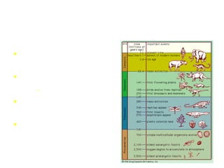 Evolution Precambrian: Multicelled organisms Paleozoic: Reptiles Ice Age Mesozoic: Dinosaurs/Mammals Cenozoic: Early humans/Modern Humans  