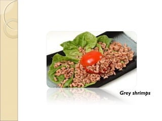 Grey shrimps
 
