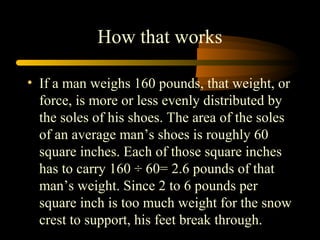 How that works
• If a man weighs 160 pounds, that weight, or
force, is more or less evenly distributed by
the soles of his shoes. The area of the soles
of an average man’s shoes is roughly 60
square inches. Each of those square inches
has to carry 160 ÷ 60= 2.6 pounds of that
man’s weight. Since 2 to 6 pounds per
square inch is too much weight for the snow
crest to support, his feet break through.
 