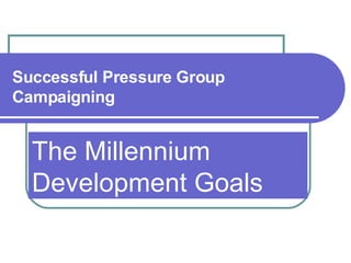 Successful Pressure Group Campaigning The Millennium Development Goals 
