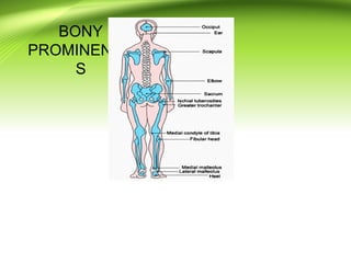 Prominent Bone pressure ulcer prevention power point presentation | PPT