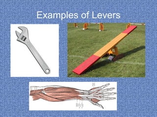Examples of Levers