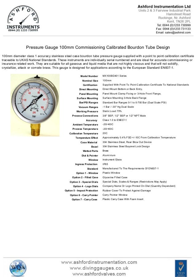 Pressure gauge 100mm commissioning calibrated bourdon tube design
