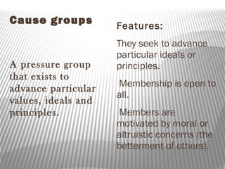 Cause groups
A pressure group
that exists to
advance particular
values, ideals and
principles.
Features:
They seek to advance
particular ideals or
principles.
Membership is open to
all.
Members are
motivated by moral or
altruistic concerns (the
betterment of others).
 