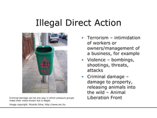 Illegal Direct Action Terrorism – intimidation of workers or owners/management of a business, for example  Violence – bombings, shootings, threats, attacks Criminal damage – damage to property, releasing animals into the wild – Animal Liberation Front Criminal damage can be one way in which pressure groups make their views known but is illegal. Image copyright: Ricardo Silva, http://www.sxc.hu 