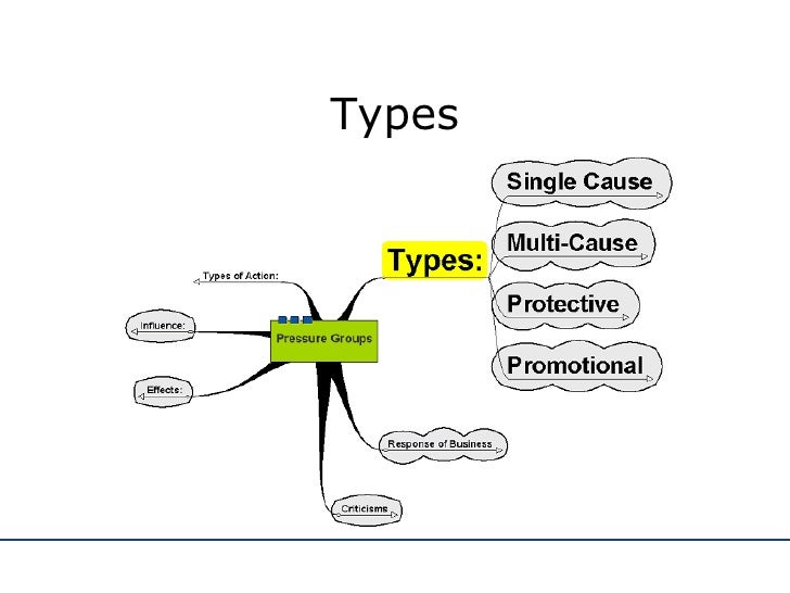 what are the 4 types of pressure groups