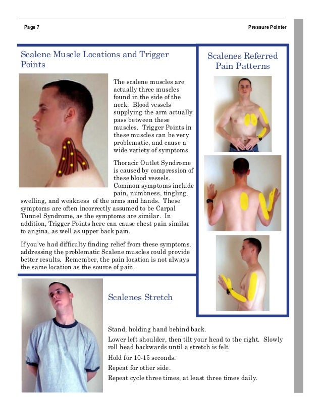 Pressure pointermanual