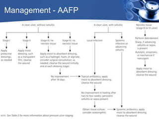 Management - AAFP
 