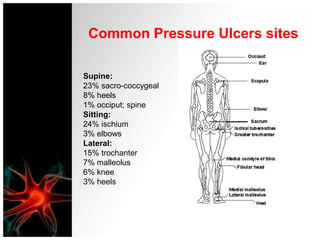  Subcutaneous tissueThough interrelated, each layer of skin has different structures, cell types and functions.