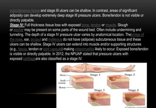 subcutaneous tissue and stage III ulcers can be shallow. In contrast, areas of significant
adiposity can develop extremely deep stage III pressure ulcers. Bone/tendon is not visible or
directly palpable.
Stage IV: Full thickness tissue loss with exposed bone, tendon or muscle. Slough
or eschar may be present on some parts of the wound bed. Often include undermining and
tunneling. The depth of a stage IV pressure ulcer varies by anatomical location. Thebridge of
the nose, ear, occiput and malleolus do not have (adipose) subcutaneous tissue and these
ulcers can be shallow. Stage IV ulcers can extend into muscle and/or supporting structures
(e.g., fascia, tendon or joint capsule) making osteomyelitis likely to occur. Exposed bone/tendon
is visible or directly palpable. In 2012, the NPUAP stated that pressure ulcers with
exposed cartilageare also classified as a stage IV.
 