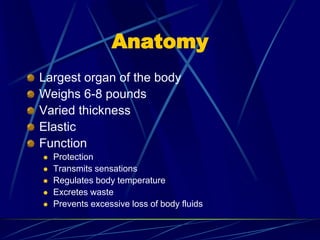 Anatomy
Largest organ of the body
Weighs 6-8 pounds
Varied thickness
Elastic
Function
 Protection
 Transmits sensations
 Regulates body temperature
 Excretes waste
 Prevents excessive loss of body fluids
 
