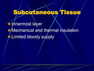 Subcutaneous Tissue
Innermost layer
Mechanical and thermal insulation
Limited bloody supply
 
