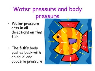 Water pressure and body
pressure
• Water pressure
acts in all
directions on this
fish
• The fish’s body
pushes back with
an equal and
opposite pressure
 