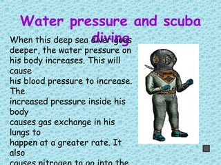 Water pressure and scuba
divingWhen this deep sea diver goes
deeper, the water pressure on
his body increases. This will
cause
his blood pressure to increase.
The
increased pressure inside his
body
causes gas exchange in his
lungs to
happen at a greater rate. It
also
 
