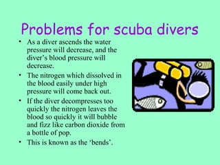 Problems for scuba divers
• As a diver ascends the water
pressure will decrease, and the
diver’s blood pressure will
decrease.
• The nitrogen which dissolved in
the blood easily under high
pressure will come back out.
• If the diver decompresses too
quickly the nitrogen leaves the
blood so quickly it will bubble
and fizz like carbon dioxide from
a bottle of pop.
• This is known as the ‘bends’.
 