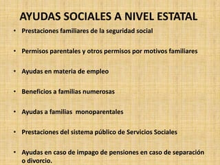 AYUDAS SOCIALES A NIVEL ESTATAL
• Prestaciones familiares de la seguridad social

• Permisos parentales y otros permisos por motivos familiares

• Ayudas en materia de empleo

• Beneficios a familias numerosas

• Ayudas a familias monoparentales

• Prestaciones del sistema público de Servicios Sociales

• Ayudas en caso de impago de pensiones en caso de separación
  o divorcio.
 