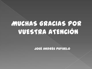MUCHAS GRACIAS POR
VUESTRA ATENCIÓN
José Andrés Puyuelo

 