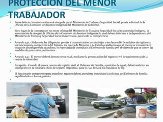 PROTECCION DEL MENOR
TRABAJADOR
   En su defecto, la autorización será otorgada por el Ministerio de Trabajo y Seguridad Social, previa solicitud de la
    Oficina de la Comisión de Asuntos Indígenas del Ministerio de Gobierno.

    Si en lugar de la contratación no existe oficina del Ministerio de Trabajo y Seguridad Social ni autoridad indígena, la
    autorización la otorgará la Oficina de la Comisión de Asuntos Indígenas, la cual deberá informar a la dependencia del
    Ministerio de Trabajo y Seguridad Social más cercana, para lo de su competencia.

   Artículo 240.- Si durante las diligencias previas a la autorización pará trabajar o en desarrollo de su labor de vigilancia,
    los funcionarios competentes del Trabajo, los Jueces de Menores o de Familia establecen qué el menor se encuentra en
    situación de peligro o de abandono, lo reportarán de inmediato al Defensor de Familia con el objeto dé que se tomen las
    medidas de protección pertinentes.

   Artículo 241.- El menor deberá demostrar su edad, mediante la presentación del registro civil de nacimiento o de la
    tarjeta de identidad.

    Parágrafo.- Cuando el menor carezca de registro civil, el Defensor de Familia, a petición de aquél, deberá solicitar su
    inscripción en la notaría u oficio de registro respectiva, para lo cual llenará los requisitos de ley.

    El funcionario competente para expedir el registro deberá atenderse inmediato la solicitud del Defensor de Familia
    expidiéndolo en forma gratuita.

 