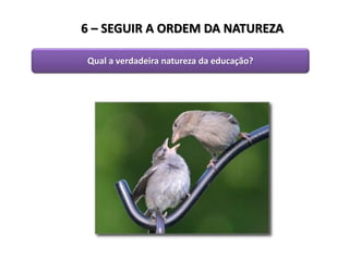 6 – SEGUIR A ORDEM DA NATUREZA
Qual a verdadeira natureza da educação?
 