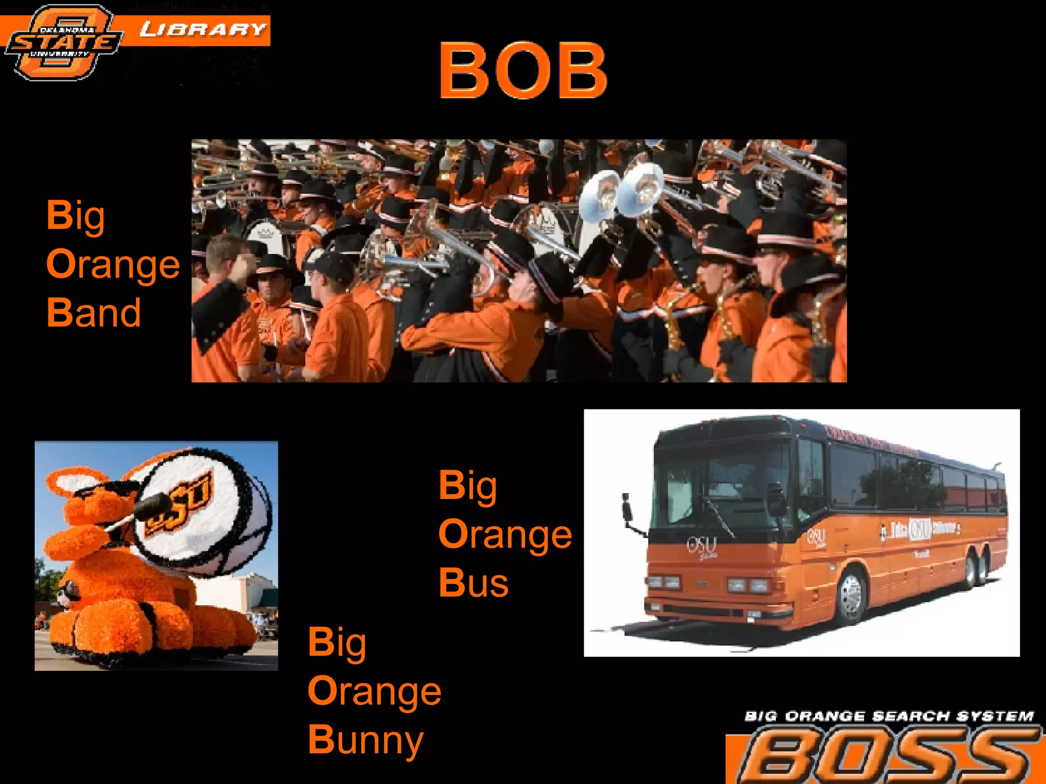 B ig O range B and B ig O range B unny B ig O range B us 