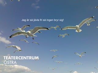 Så ä r vi organiserade
• En rikstäckande styrelse i Stockholm
• Fyra regionala kontor
• 5 verksamhetsledare
Jag är så jävla fri så ingen bryr sig!
 