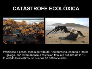 CATÁSTROFE ECOLÓXICA




O vertido total estimouse nunhas 63.000 toneladas.
Prohibiuse a pesca, medio de vida de 7000 familias, en todo litoral
  galego, non levantándose a restricción total até outubro de 2013.
 