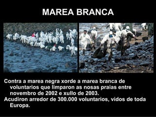 MAREA BRANCA




Contra a marea negra xurde marea branca de voluntarios
  que limparon as nosas praias entre novembro de 2002
  e xullo de 2003.
Acudiron arredor de 300.000 voluntarios, vidos de toda
  Europa.
 