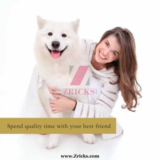 www.Zricks.com
 