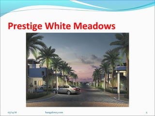 Prestige white meadows