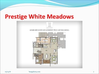 Prestige white meadows