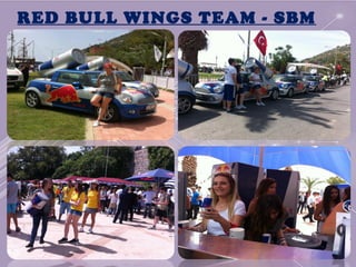 RED BULL WINGS TEAM - SBM
 