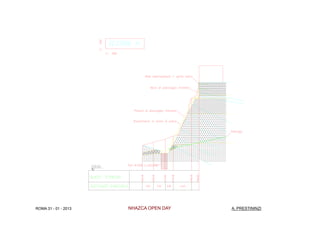 ROMA 31 - 01 - 2013   NHAZCA OPEN DAY   A. PRESTININZI
 