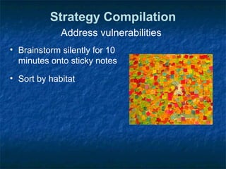 Strategy Compilation
Address vulnerabilities
• Brainstorm silently for 10
minutes onto sticky notes
• Sort by habitat
 