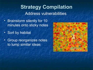 Strategy Compilation
Address vulnerabilities
• Brainstorm silently for 10
minutes onto sticky notes
• Sort by habitat
• Group reorganizes notes
to lump similar ideas
 
