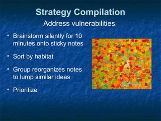 Strategy Compilation
Address vulnerabilities
• Brainstorm silently for 10
minutes onto sticky notes
• Sort by habitat
• Group reorganizes notes
to lump similar ideas
• Prioritize
 