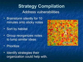 Strategy Compilation
Address vulnerabilities
• Brainstorm silently for 10
minutes onto sticky notes
• Sort by habitat
• Group reorganizes notes
to lump similar ideas
• Prioritize
• Identify strategies their
organization could help with.
 