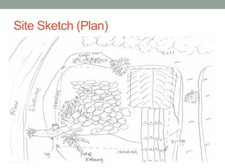 Site Sketch (Plan)
 