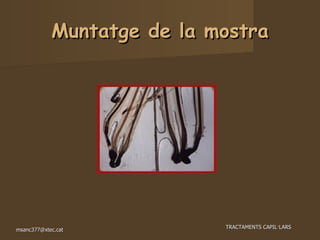 Muntatge de la mostra 