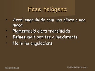 Fase telògena Arrel engruixida com una pilota o una maça Pigmentació clara translúcida Beines molt petites o inexistents No hi ha angulacions 