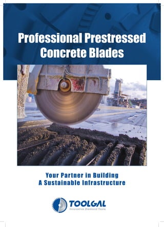 Professional Prestressed
Concrete Blades
Your Partner in Building
A Sustainable Infrastructure
 