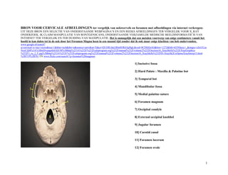 BRON VOOR CERVICALE AFBEELDINGEN ter vergelijk van nekwervels en foramen met afbeeldingen via internet verkregen:
UIT DEZE BRON EEN SELECTIE VAN ONDERSTAANDE WEBPAGINA’S EN EEN REEKS AFBEELDINGEN TER VERGELIJK VOOR X_RAY
ONDERZOEK. IK CLAIM MANIPULATIE VAN RONTGENSCANS, ONDERSTAANDE VERZAMELDE MEDISCHE BEELDINFORMATIE IS VAN
INTERNET TER VERGELIJK EN TER DUIDING VAN MANIPULATIE. Het is onmogelijk dat een metalen voorwerp van enige centimeters vanuit het
hoofd in kan dalen tot in de nek door het Foramen Magna heen in een maand tijd zonder dat ik ook maar enige klachten van heb ondervonden.
www.google.nl/search?
q=cervical+x+ray+views&noj=1&tbm=isch&tbo=u&source=univ&sa=X&ei=QUO8UduLBImSOK63gMgL&ved=0CDQQsAQ&biw=1272&bih=655#facrc=_&imgrc=ySvUCze
NoyCIjM%3A%3BmDvepqotfeGQUM%3Bhttp%253A%252F%252Fcalsprogram.org%252Fmanual%252Fvolume2%252FSection10_XraySkills%252FXrayGraphics
%252F3_xs_2_F.jpg%3Bhttp%253A%252F%252Fcalsprogram.org%252Fmanual%252Fvolume2%252FSection10_XraySkills%252F03-XraySk2CerSpineXrayInterp13.html
%3B719%3B761 EN www.flickr.com/search/?q=foramen%20magnum
1] Incissive fossa
2] Hard Palate : Maxilla & Palatine bot
3] Temporal bot
4] Mandibular fossa
5] Medial palatine suture
6] Foramen magnum
7] Occipital condyle
8] External occipital knobbel
9] Jugular foramen
10] Carotid canal
11] Foramen lacerum
12] Foramen ovale
1
 